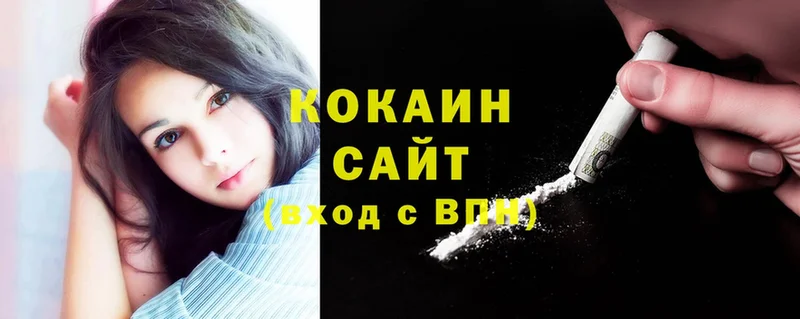 купить закладку  Заводоуковск  Cocaine VHQ 